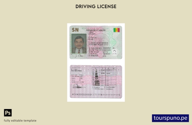 Plantilla de permiso de conducir de Senegal lista para imprimir